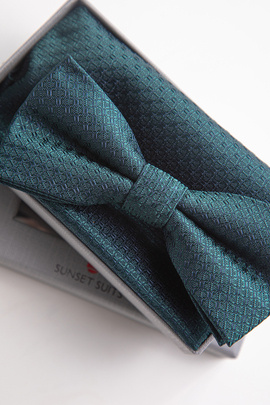 Mucha z poszetką 00189C60SZA