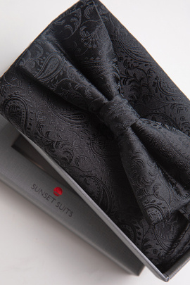 Zestaw Mucha z poszetką 00195C90PZA