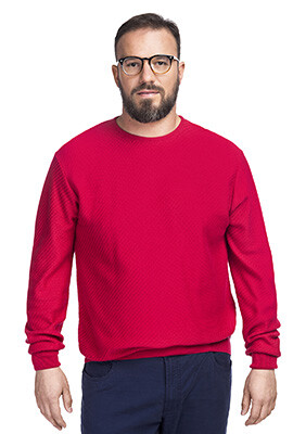 Sweter ALESSIO SWT000087