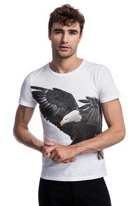 t-shirt męski z orłem giacomo conti