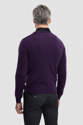 Sweter męski PIO 01025A40RSA