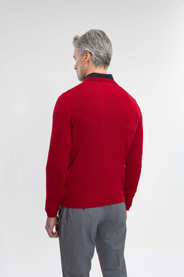 Sweter męski PIO 01025B50RSA